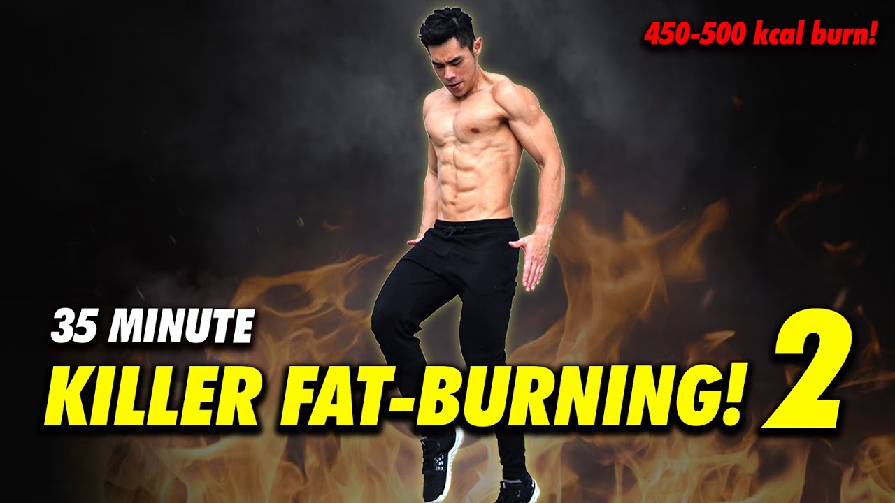 Killer Fat Burning Home Workout 2 (Level 5-6)