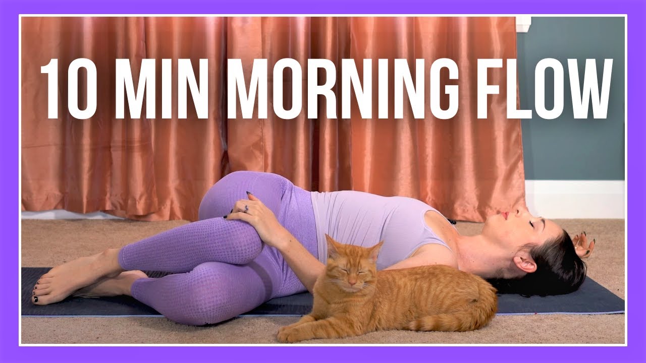 10 min Morning Yoga Flow (feat. TACOðŸ˜»)