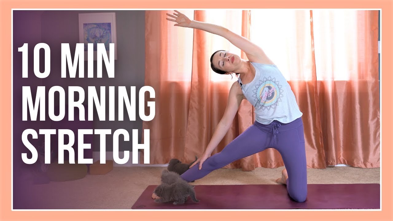 10 min Morning Yoga Stretch with KITTENS ðŸ˜»