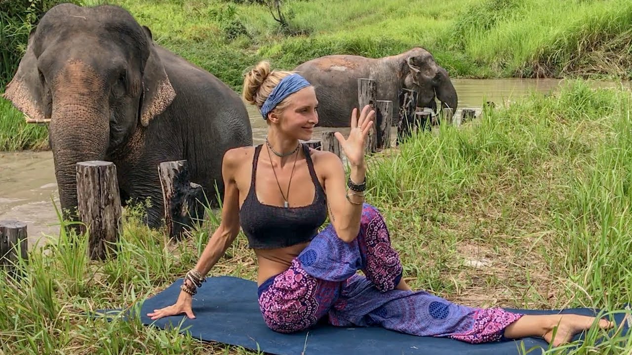 Vinyasa Power Flow Class ♥ 20 Minute Yoga | Cambodia Wildlife Sanctuary
